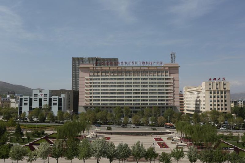 西宁小程序开发：新锐技术助力城市服务升级